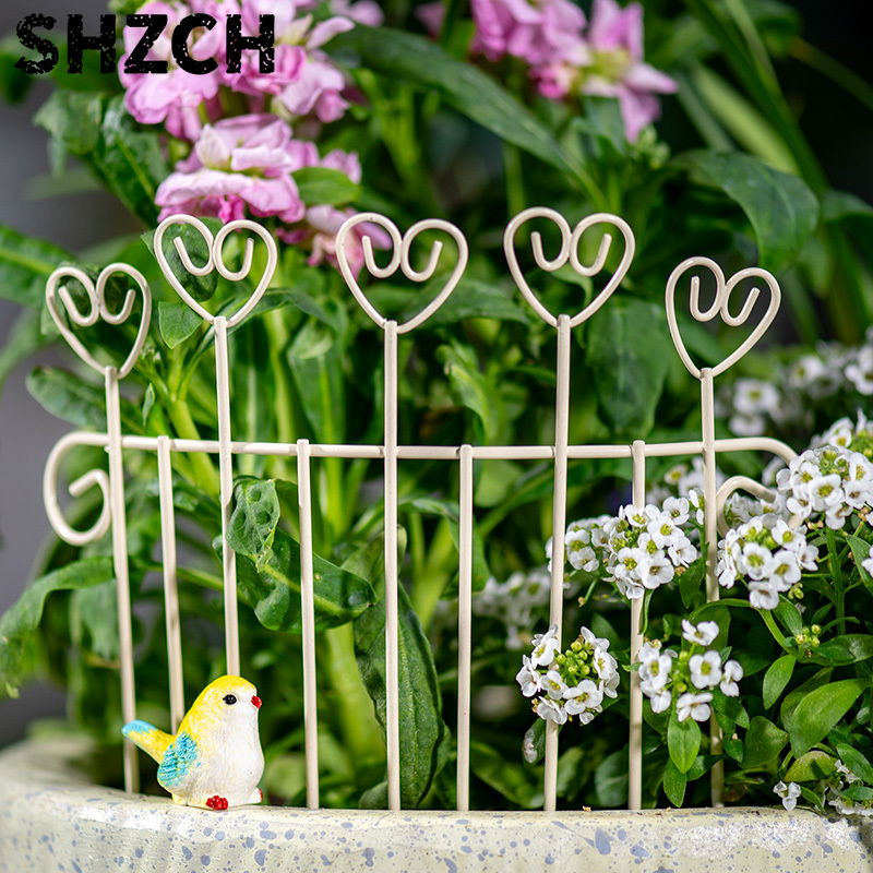 Succulent Arrangement Mini - Mini Cerca de Ferro Criativa e