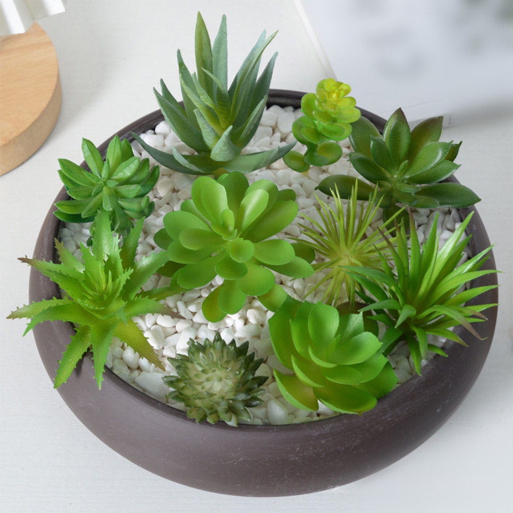 Succulent Arrangement Mini - Arranjo de Plantas Suculentas Artificiais Mini