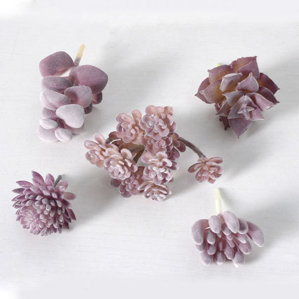 Succulent Arrangement Mini - Vaso de Planta Redondo com Drenagem