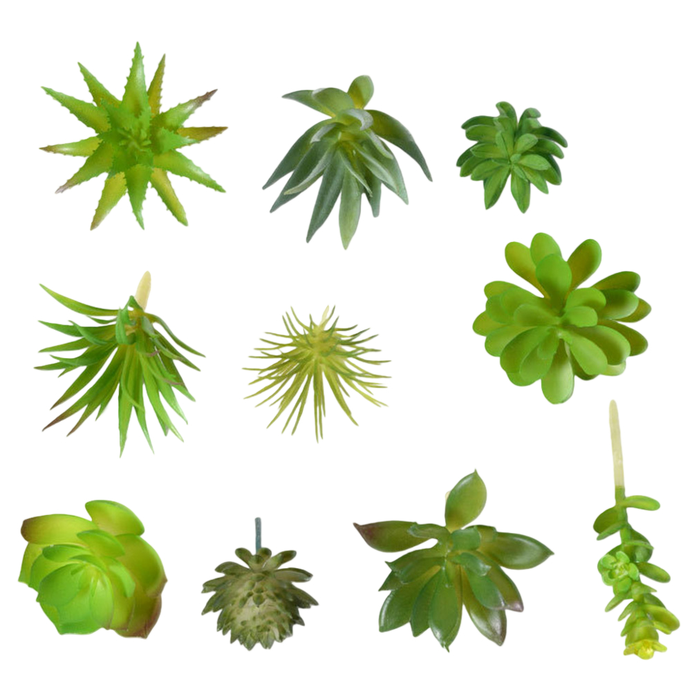 Succulent Arrangement Mini - Acessório de Fotografia para Arranjos de