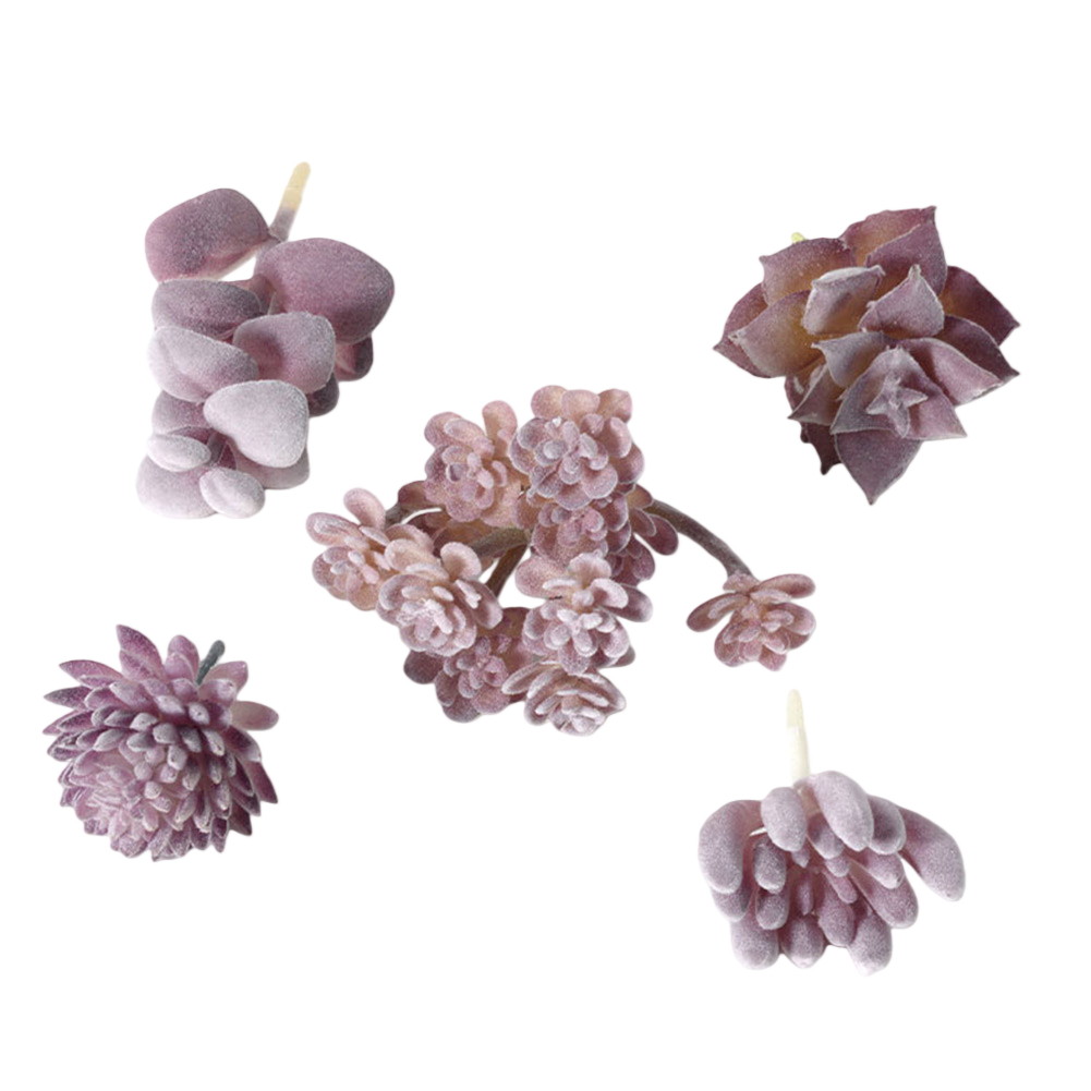 Arranjo de Suculentas em Estil - Succulent Arrangement Mini avaliação e preço