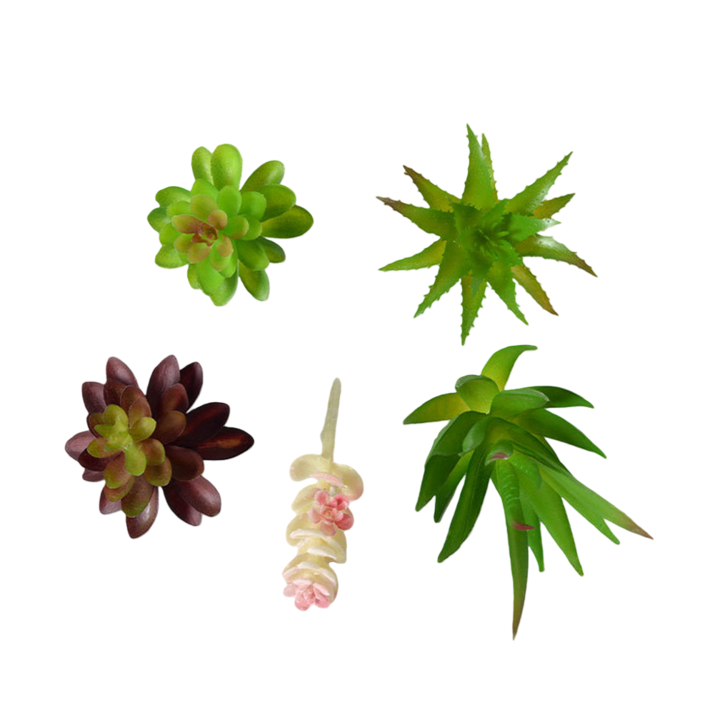 Arranjo de Suculentas em Estil - Succulent Arrangement Mini avaliação e preço