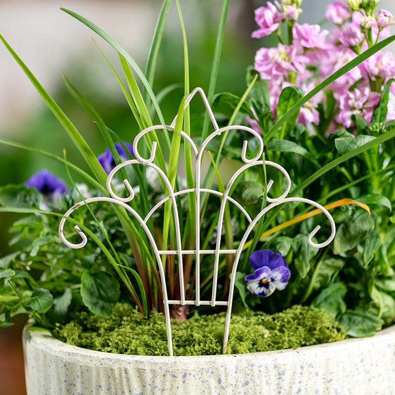 Mini Cerca de Ferro Criativa e - Succulent Arrangement Mini avaliação e preço