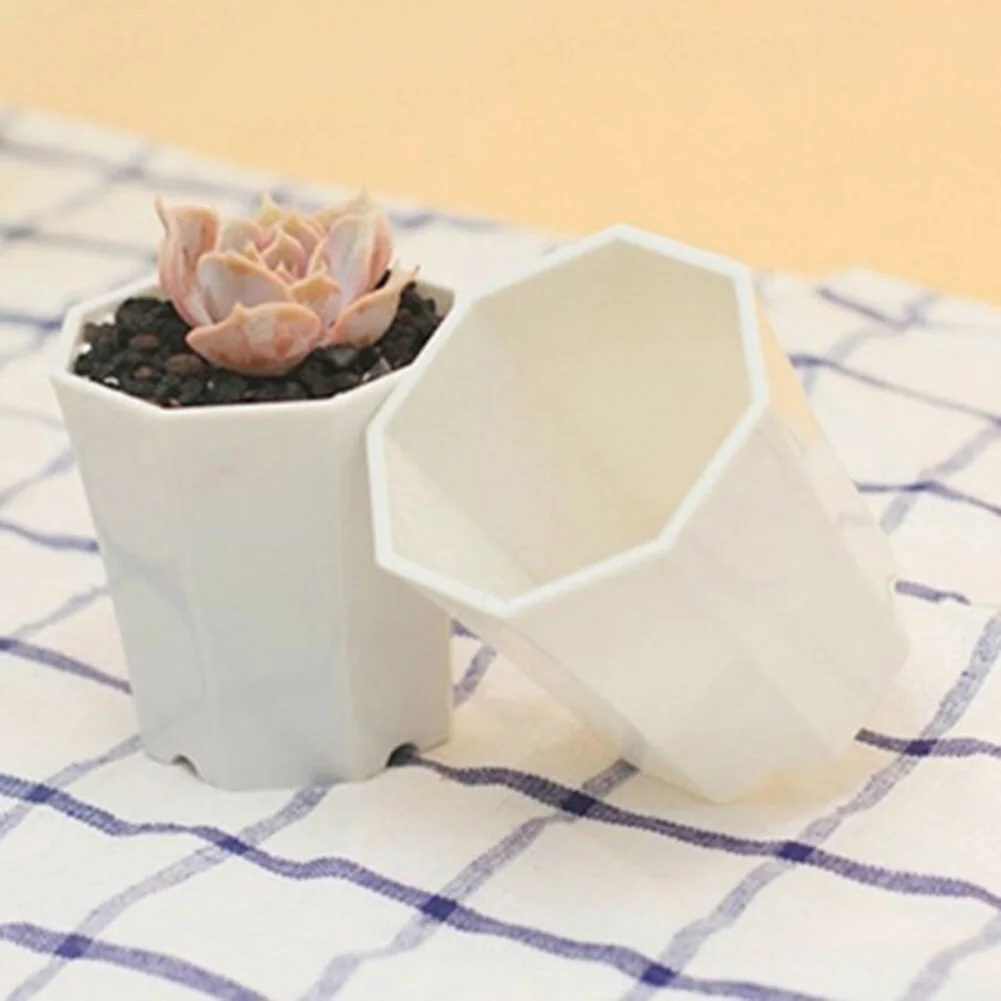 10 Peças de Plástico para Mini - Succulent Arrangement Mini avaliação e preço