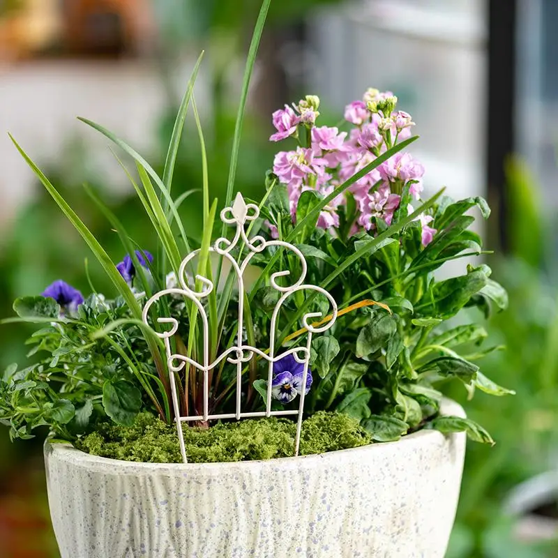 Mini Cerca de Ferro Criativa e - Succulent Arrangement Mini avaliação e preço