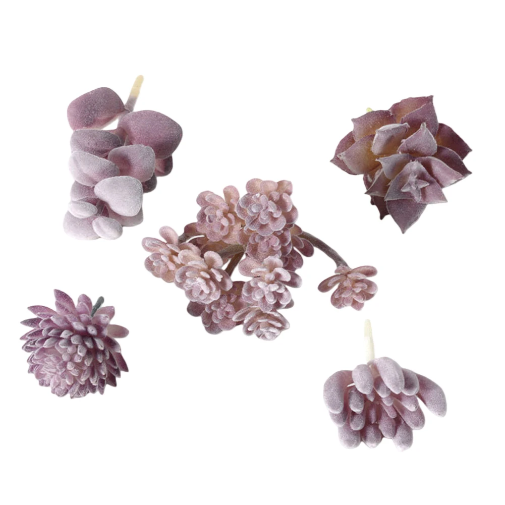 Baixa manutenção para arranjos - Succulent Arrangement Mini avaliação e preço