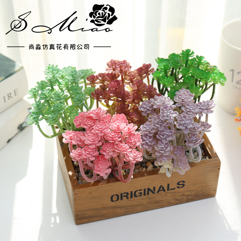 Wusmart-Grandes suculentas art - Succulent Arrangement Mini avaliação e preço