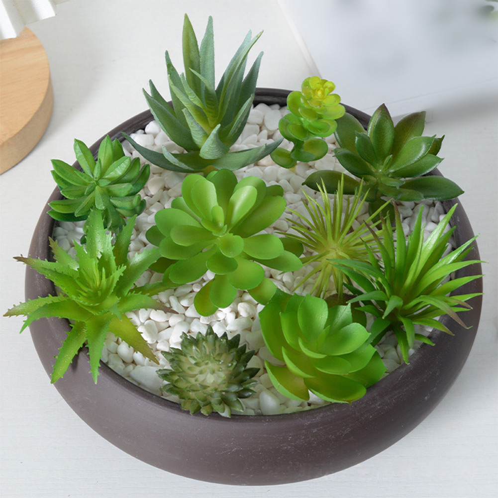 Vaso de Planta Redondo com Dre - Succulent Arrangement Mini avaliação e preço