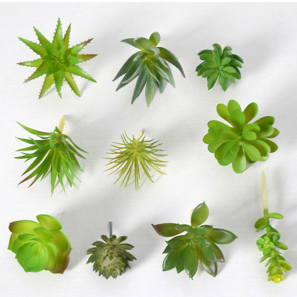 Vaso de Planta Redondo com Dre - Succulent Arrangement Mini avaliação e preço