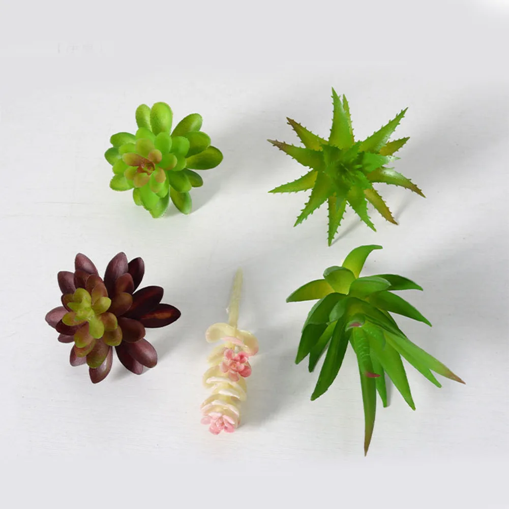 Arranjo Encantador de Mini Bon - Succulent Arrangement Mini avaliação e preço