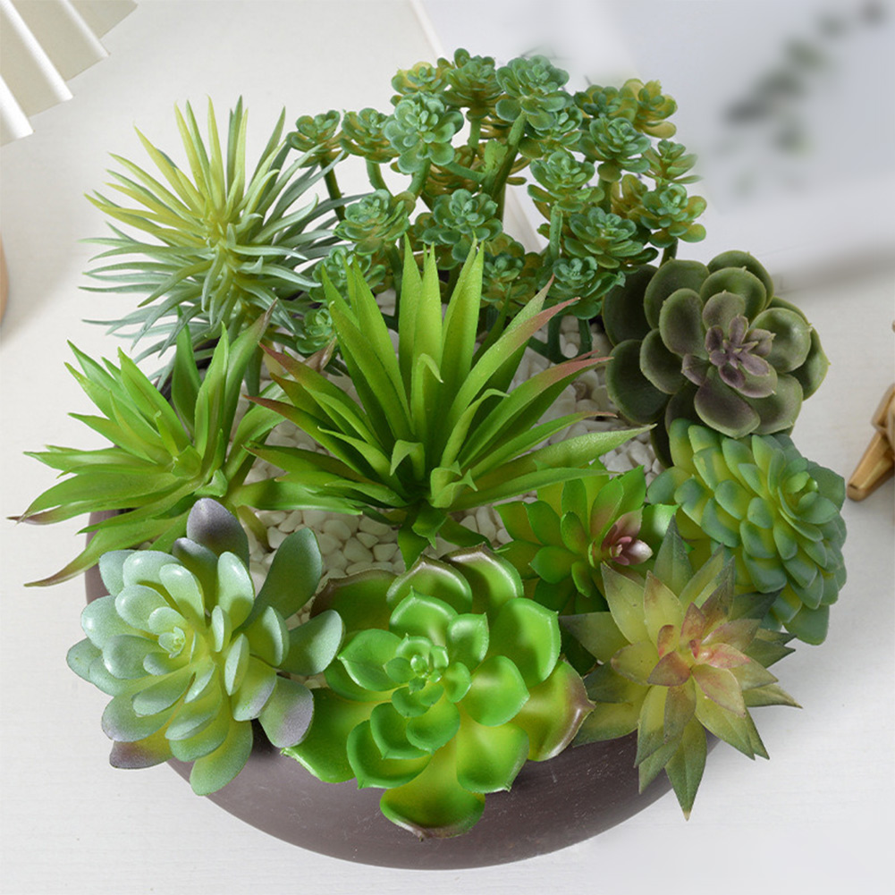 Acessório de Fotografia para A - Succulent Arrangement Mini avaliação e preço