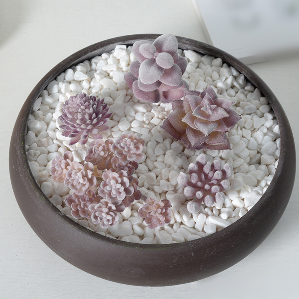 Acessório de Fotografia para A - Succulent Arrangement Mini avaliação e preço