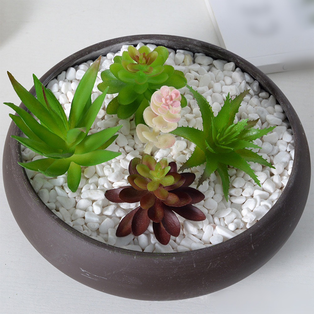 Acessório de Fotografia para A - Succulent Arrangement Mini avaliação e preço