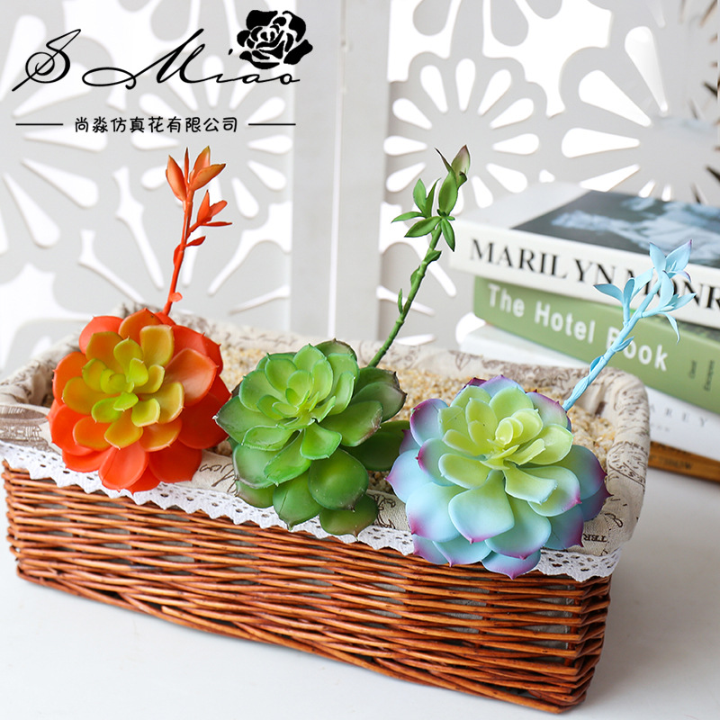 Wusmart-Zhong Li Lian Grandes  - Succulent Arrangement Mini avaliação e preço
