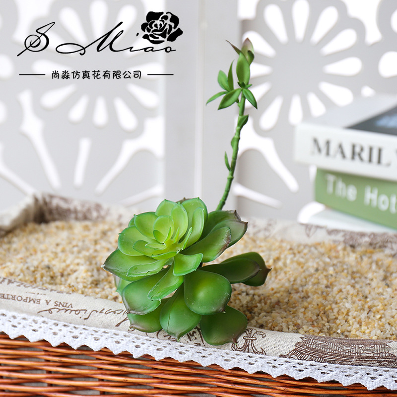 Wusmart-Zhong Li Lian Grandes  - Succulent Arrangement Mini avaliação e preço