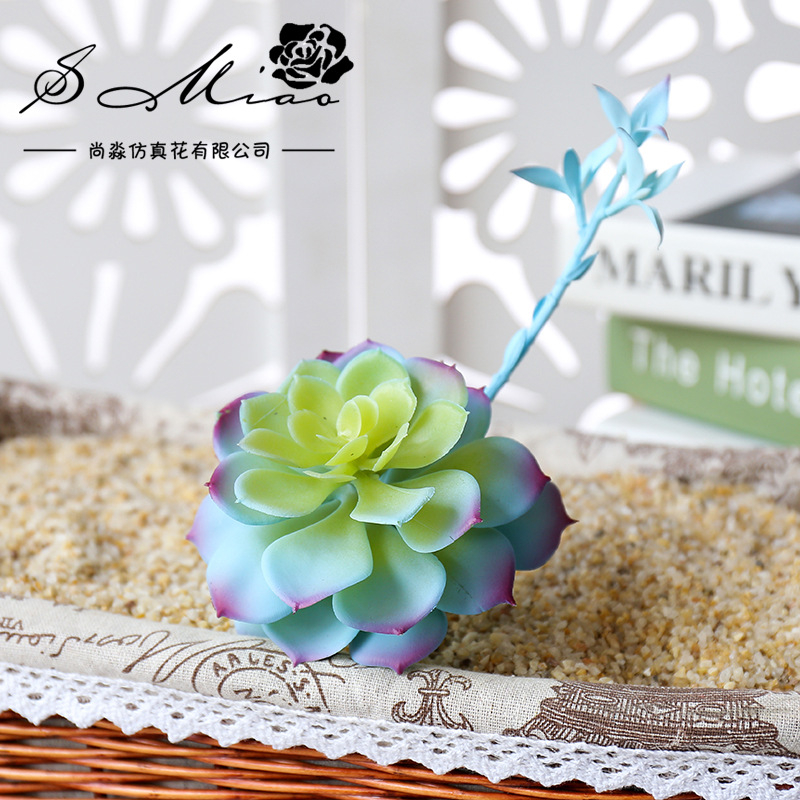 Wusmart-Zhong Li Lian Grandes  - Succulent Arrangement Mini avaliação e preço