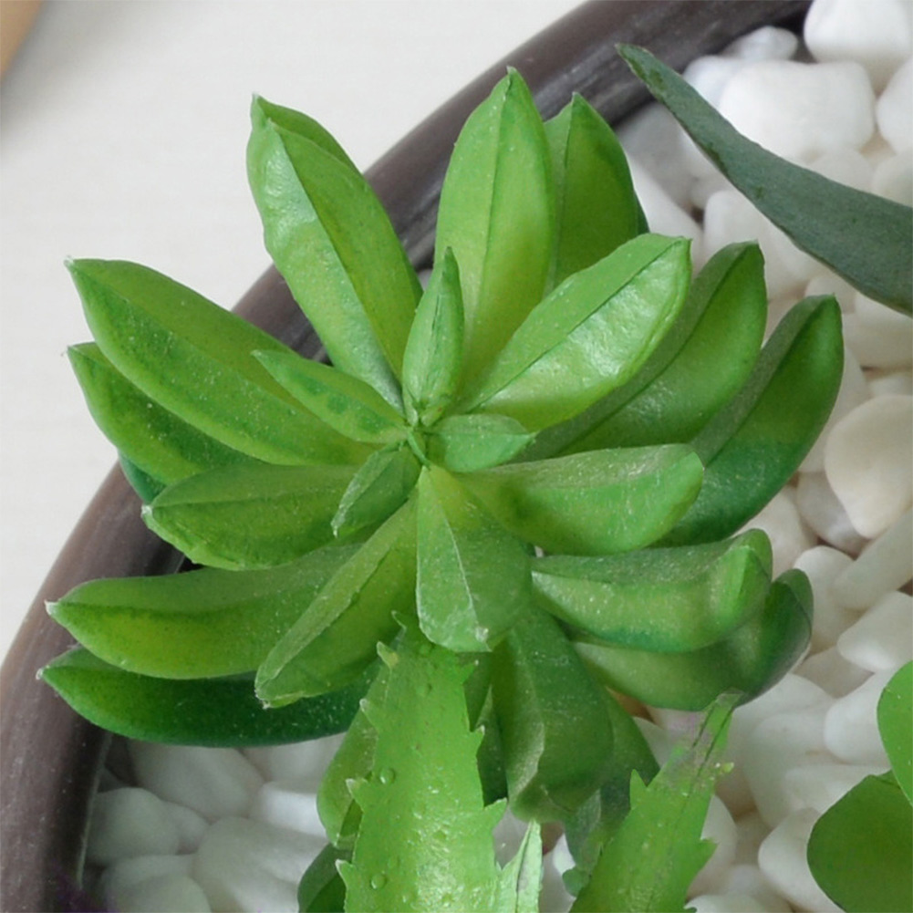 Arranjo de Suculentas Artifici - Succulent Arrangement Mini avaliação e preço